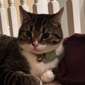 Meet your Posher, Blake